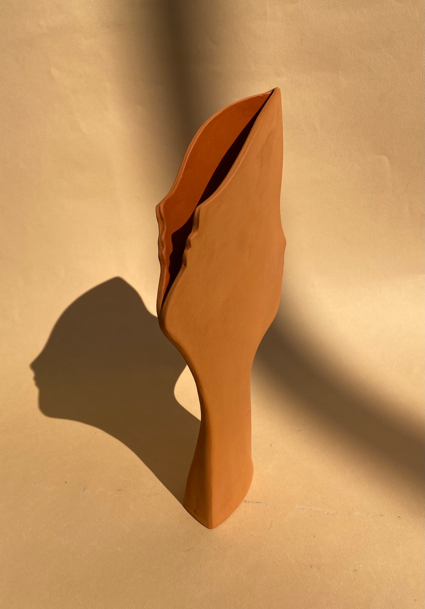 Vase Sculptural brut